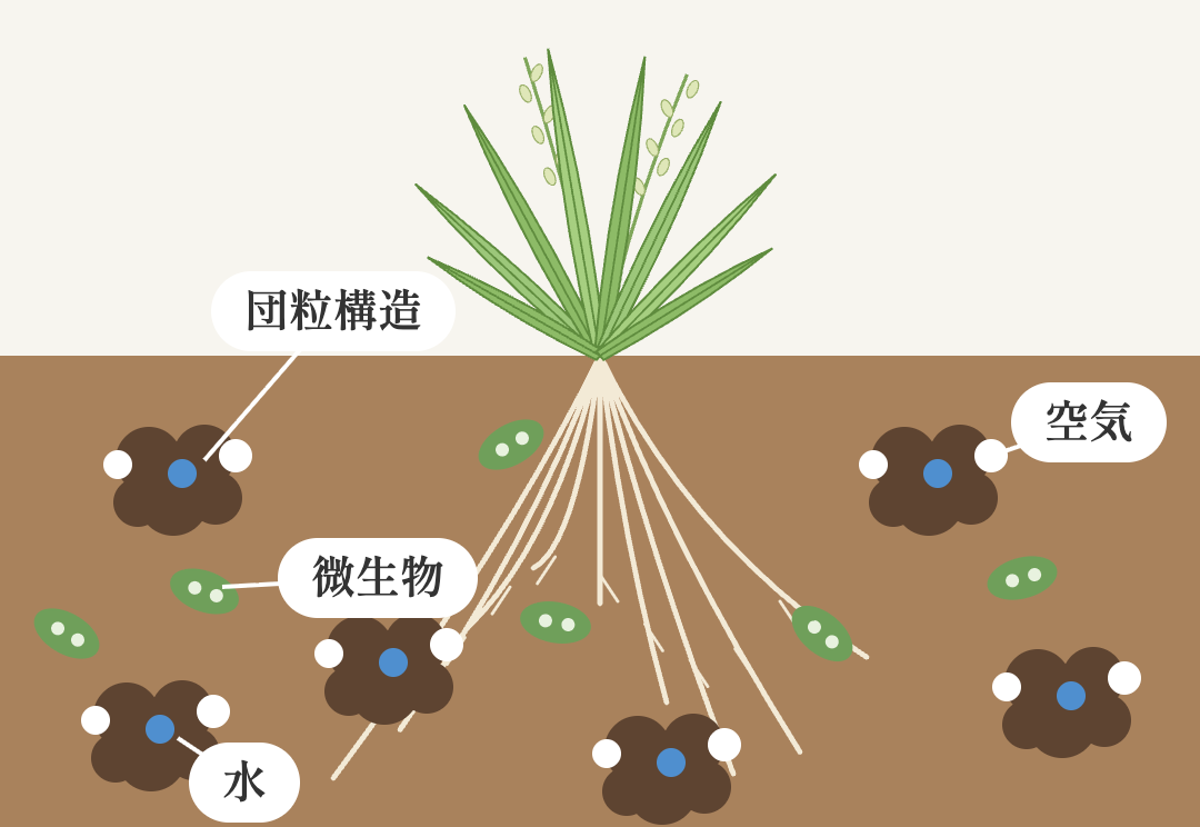 息吹農法イメージ図