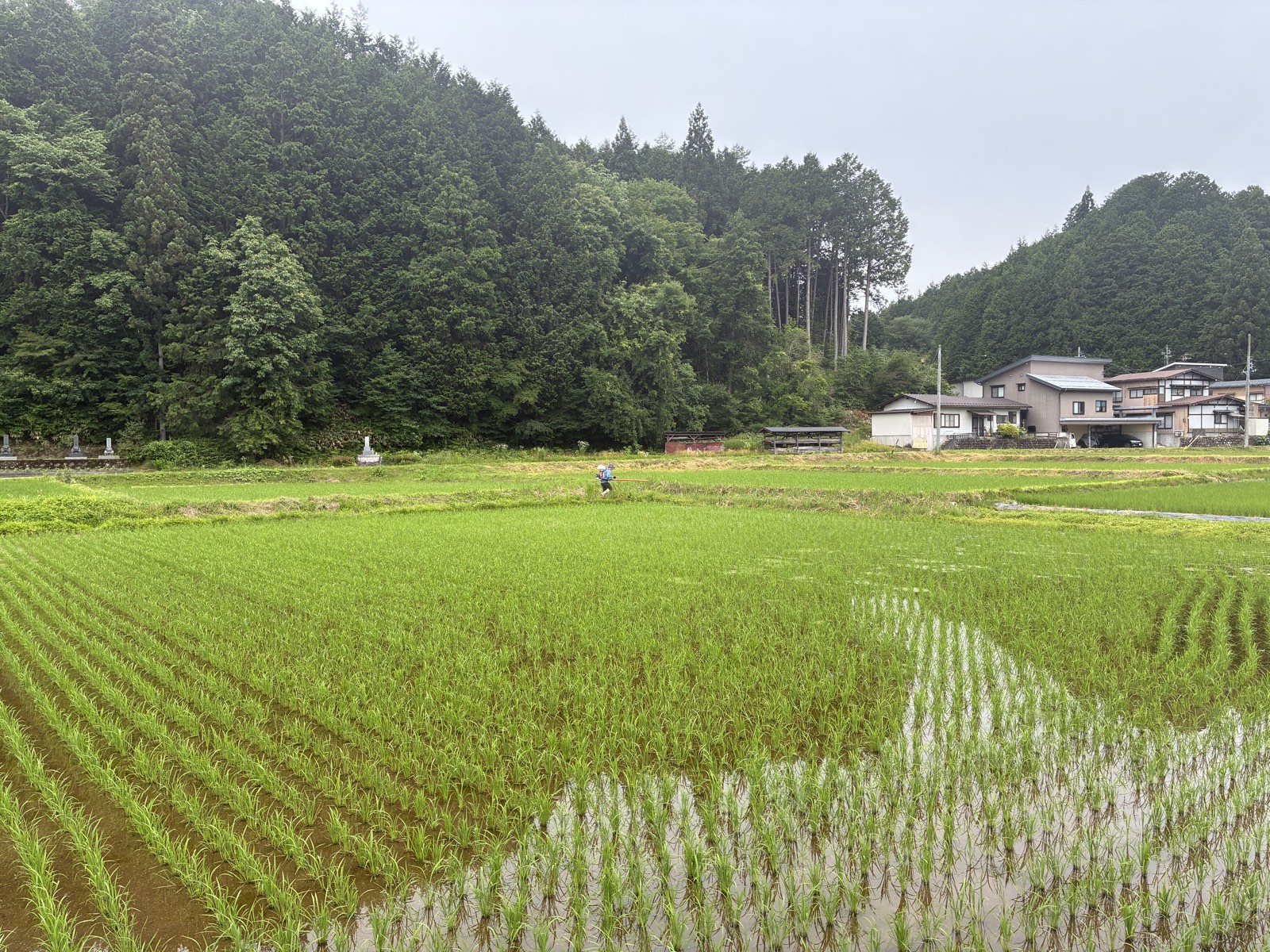 Special Cultivation